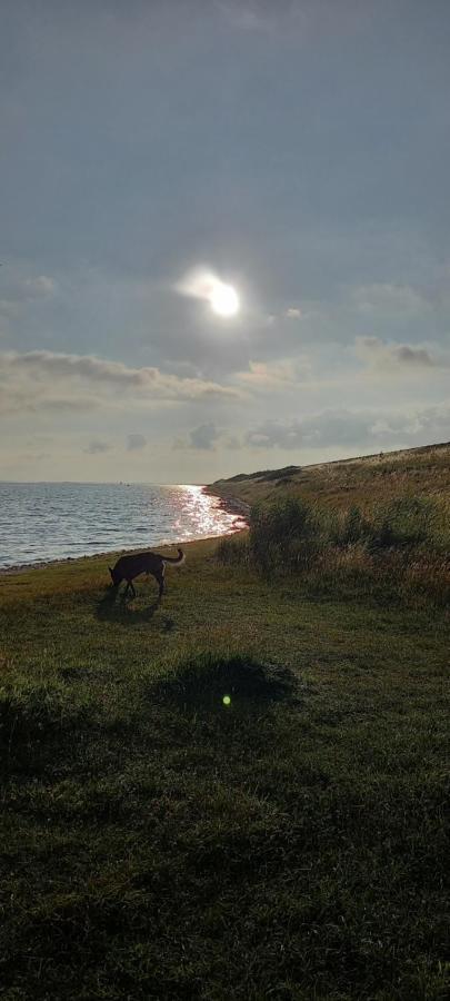 Beachloft Zeeland Nr.2